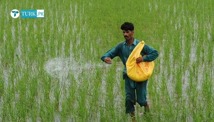 Government to Directly Subsidize Fertilizer Costs to Assist Farmers