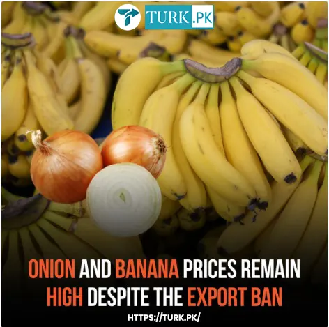 Onions and Bananas Defy Export Ban, Soaring to New Heights